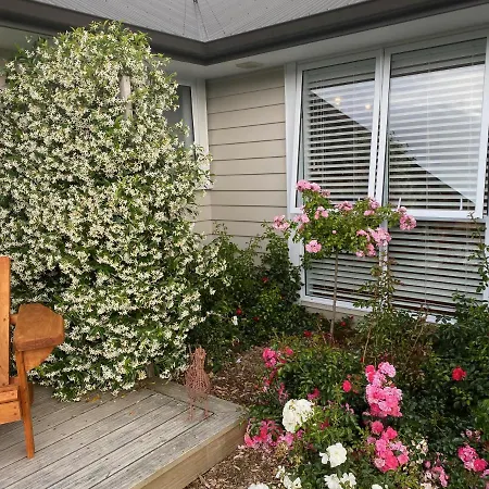 Fitzroy Bnb 39B Whangapoua Road-3
